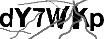 Loading CAPTCHA Image...